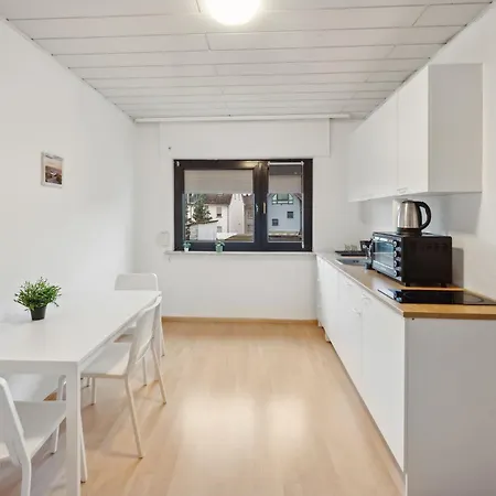 Apartment Fuer Teams Smart Tv, Wifi, Parking New Hanau
